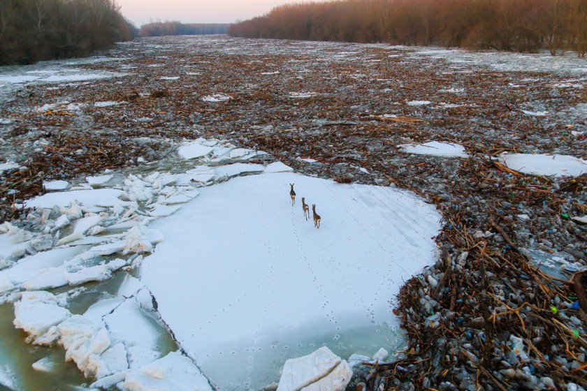 2017 jeges ár 2017 jeges ár
