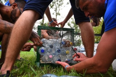 Aztakeservit Lukrécia Surranó Szellem Vízibolhabéka Aztakeservit Lukrécia Surranó Szellem Vízibolhabéka