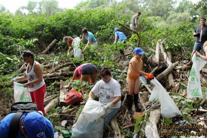 PET szemétszedés PET szemétszedés